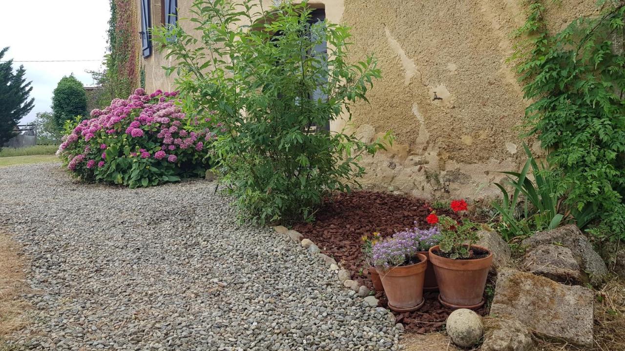 Le Peyroutet Apartment Cazaux-Villecomtal ภายนอก รูปภาพ