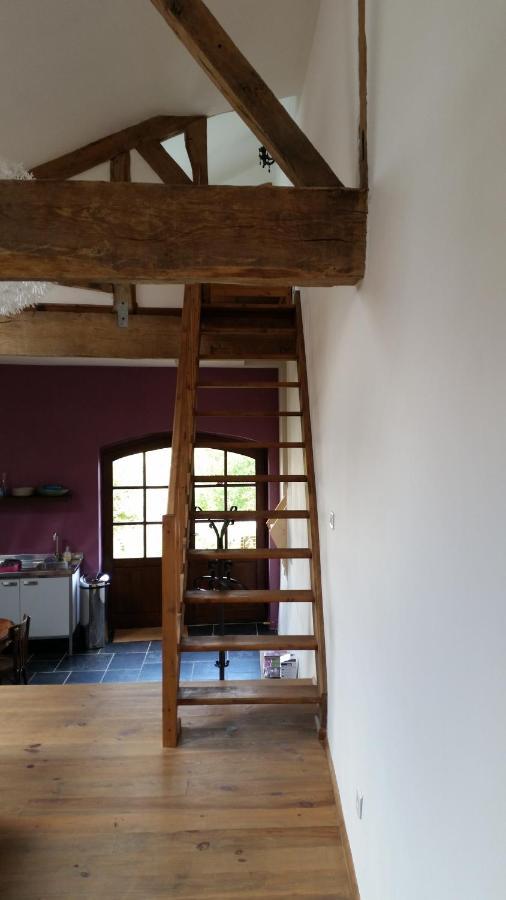 Le Peyroutet Apartment Cazaux-Villecomtal ภายนอก รูปภาพ
